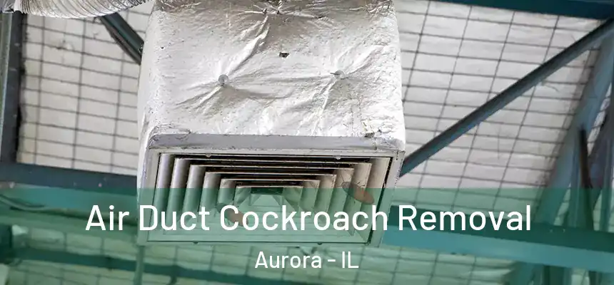 Air Duct Cockroach Removal Aurora - IL