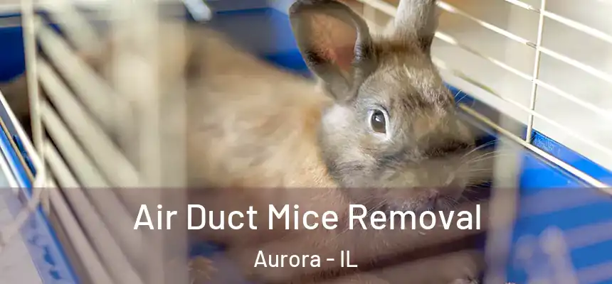 Air Duct Mice Removal Aurora - IL