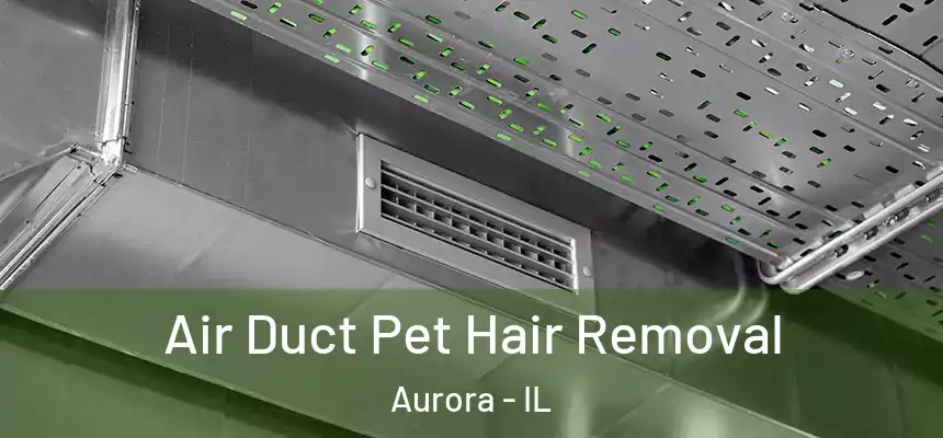 Air Duct Pet Hair Removal Aurora - IL