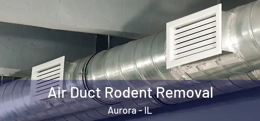 Air Duct Rodent Removal Aurora - IL