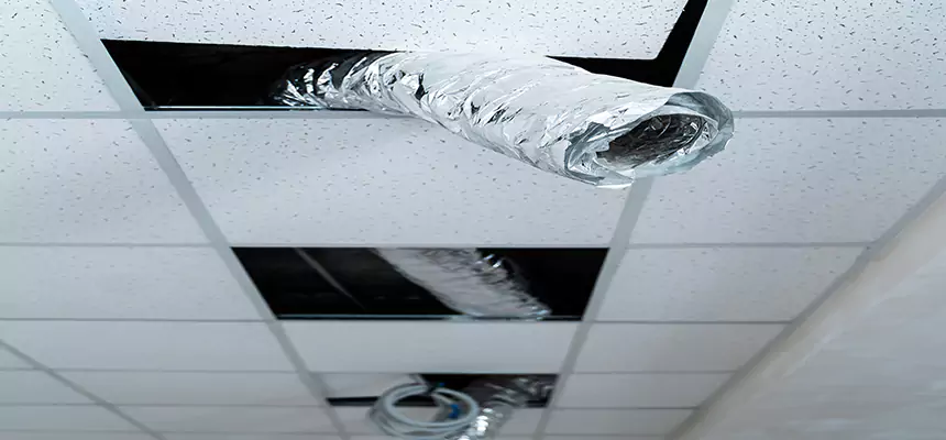 Our Air Duct Pet Hair Removal Services in Aurora, IL