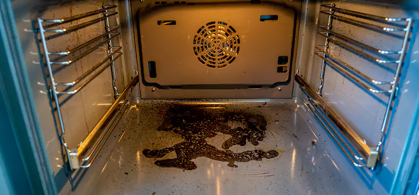 Our Dryer Vent Mold Cleaning Services in Aurora, IL