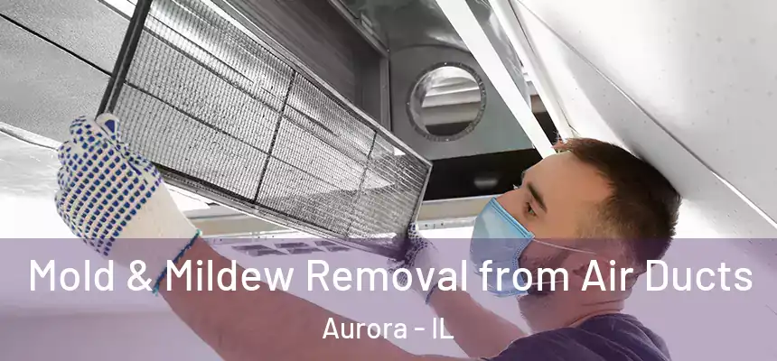 Mold & Mildew Removal from Air Ducts Aurora - IL