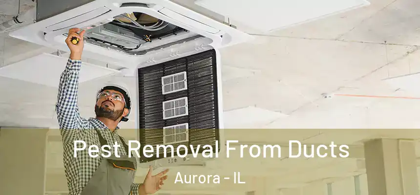  Pest Removal From Ducts Aurora - IL
