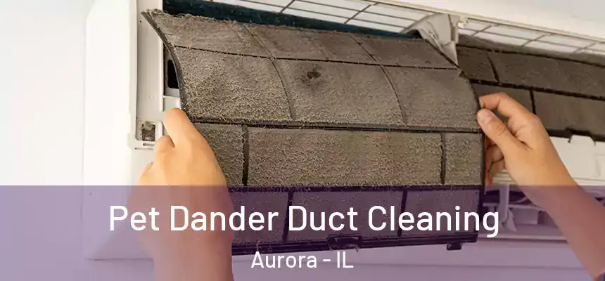Pet Dander Duct Cleaning Aurora - IL