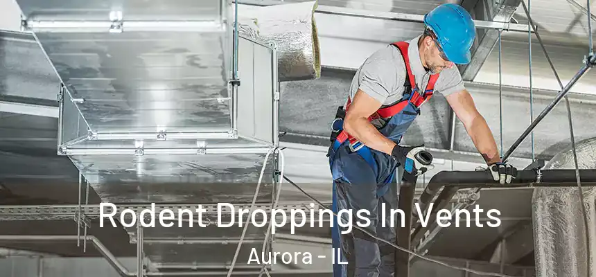 Rodent Droppings In Vents Aurora - IL