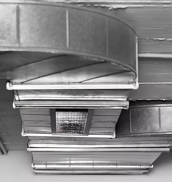 Professional Air Duct Pet Hair Removal in Aurora, IL