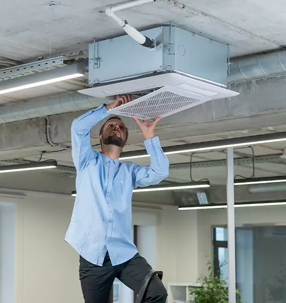 Advanced Rodent Droppings In Vents in Aurora, IL