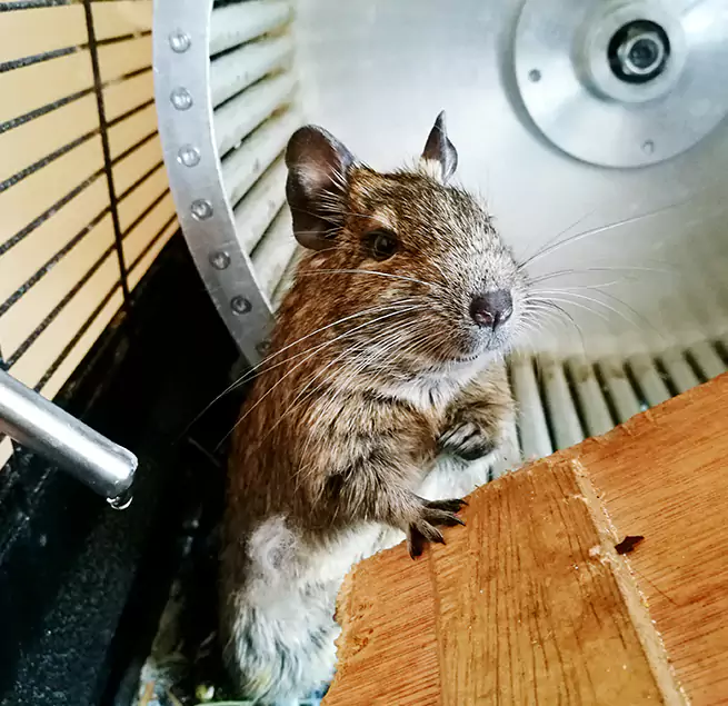 Why Homeowners & Businesses Trust Us Aurora, IL